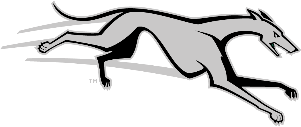 Loyola-Maryland Greyhounds 2011-Pres Partial Logo iron on transfers for clothing